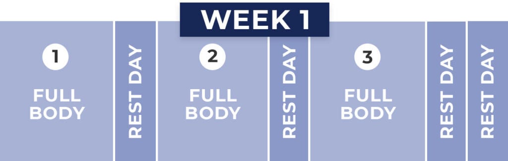 week of workouts featuring 3 day training split